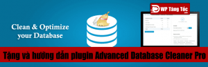 Hướng dẫn sử dụng plugin Advanced Database Cleaner PRO