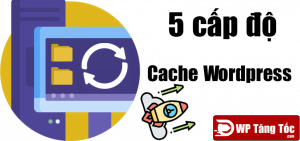 5 cấp độ cache website wordpress phổ biến thường dùng