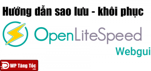 Cách sao lưu và khôi phục websever openlitespeed