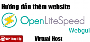 Cách thêm website trong webserver OpenLiteSpeed webgui