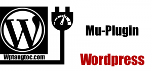 mu-plugin là gì? sức mạnh rất tuyệt vời để tăng tốc độ wordpress