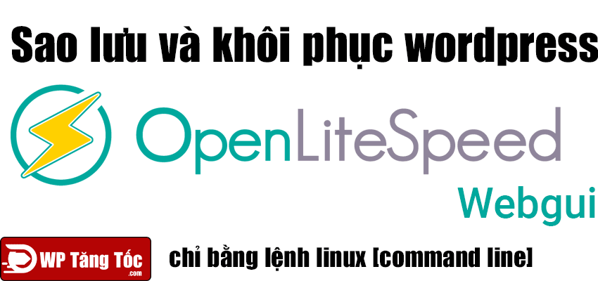sao luu khôi phục website WordPress openlitespeed linux