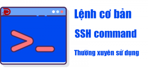 Lệnh cơ bản quản trị ssh command linux thường dùng wordpress