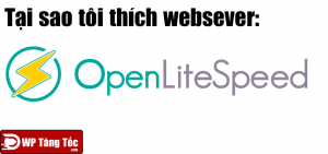 Tại sao tôi thích OpenliteSpeed Websever cho wordpress