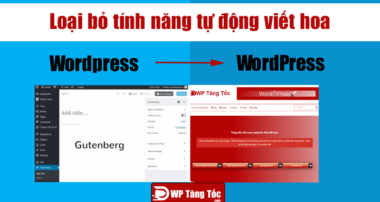 loai-bo-tu-dong-viet-hoa-wordpress