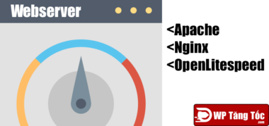 so-sánh-hiệu-suất-openlitespeed-và-nginx-và-apache-cham-diem